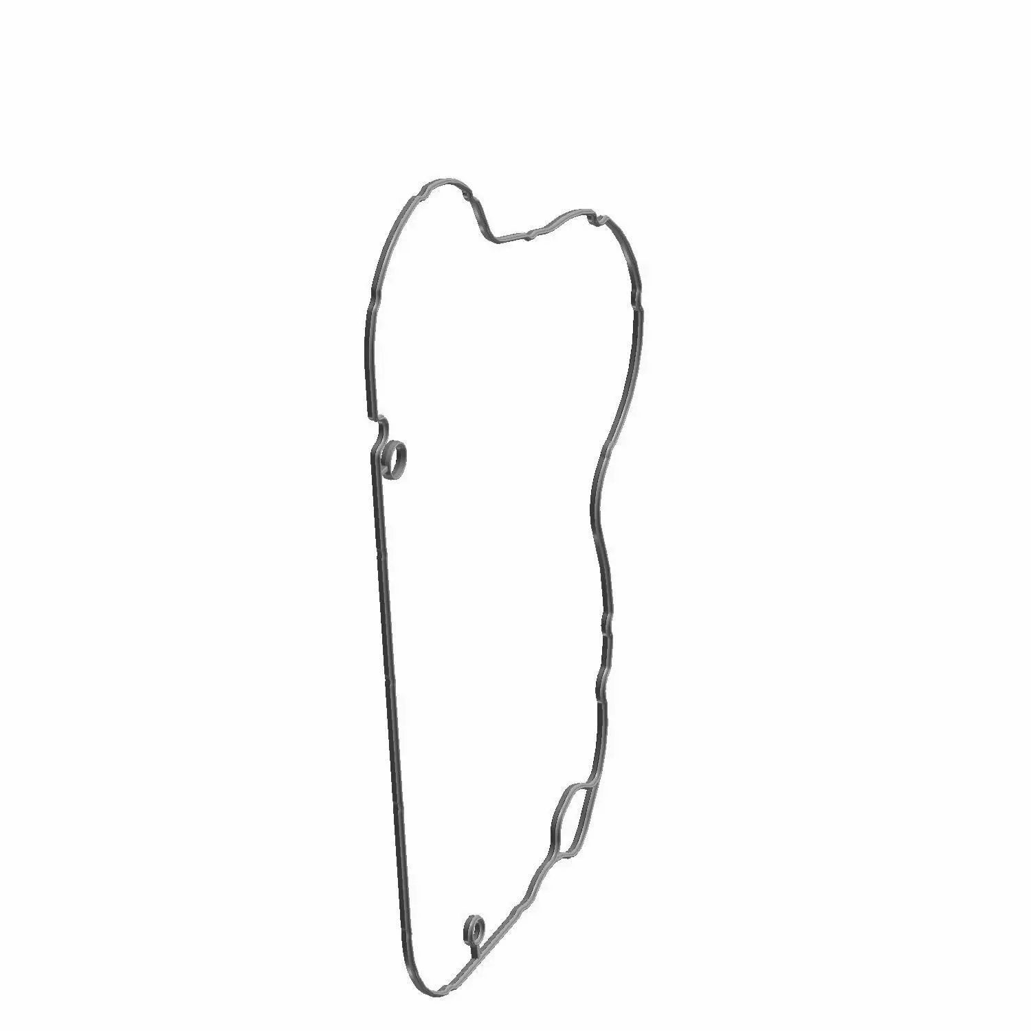 A slender, irregular wire evokes the abstract outline of a Primary Cover Gasket by Polaris, set against a plain white background.