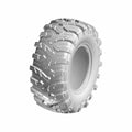 Xterrain Tire 25x10 12 [NHS] by Polaris