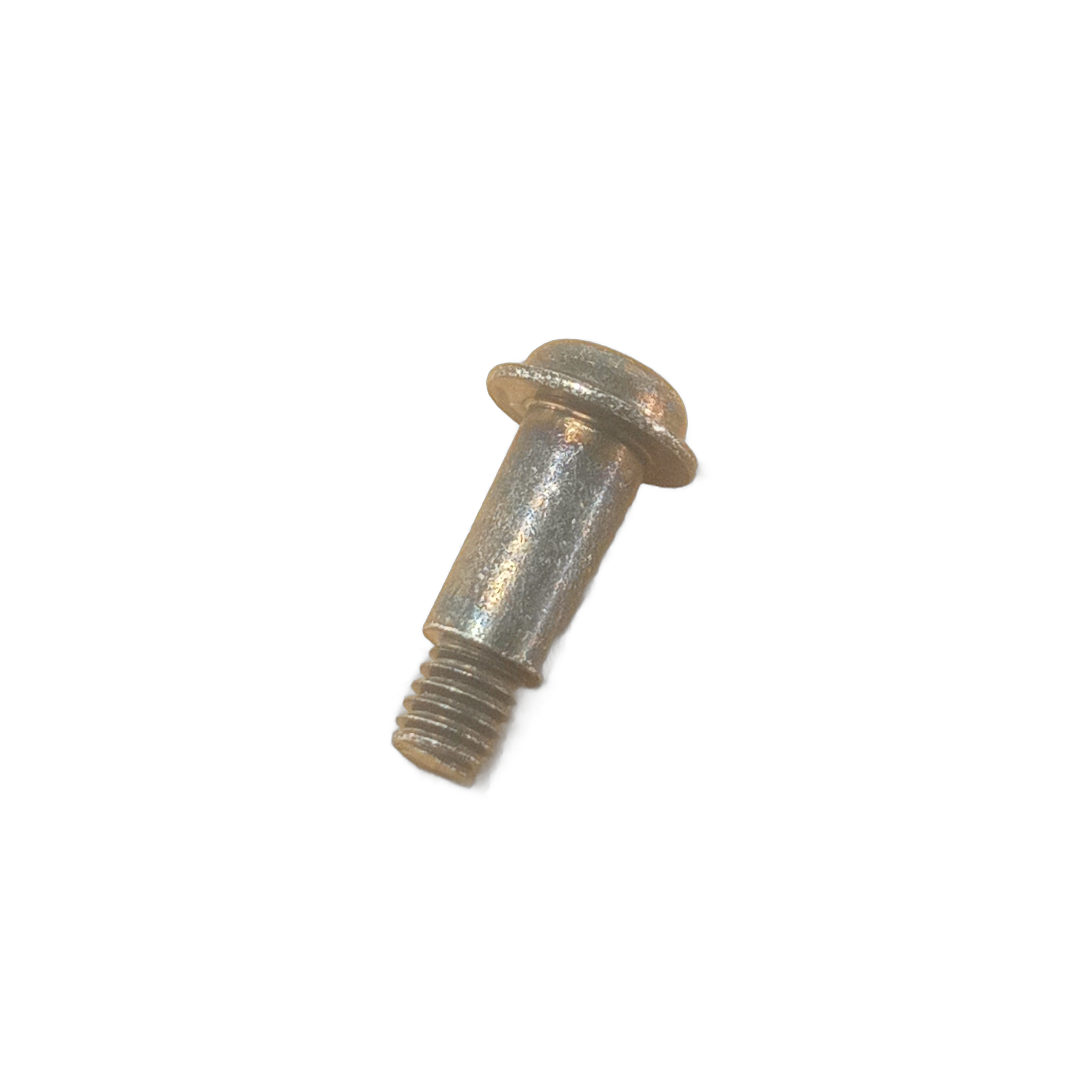 Small metal screw with a rounded head and partial threading on the shaft.