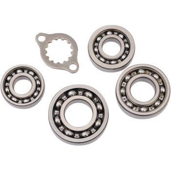 The Transmission Bearing Kit by Hot Rods, featuring four various-sized metal ball bearings and a uniquely shaped metal plate with a gear-like edge, is displayed on a white background.