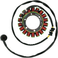 Kawasaki Stator by Rick's Motorsport Electric