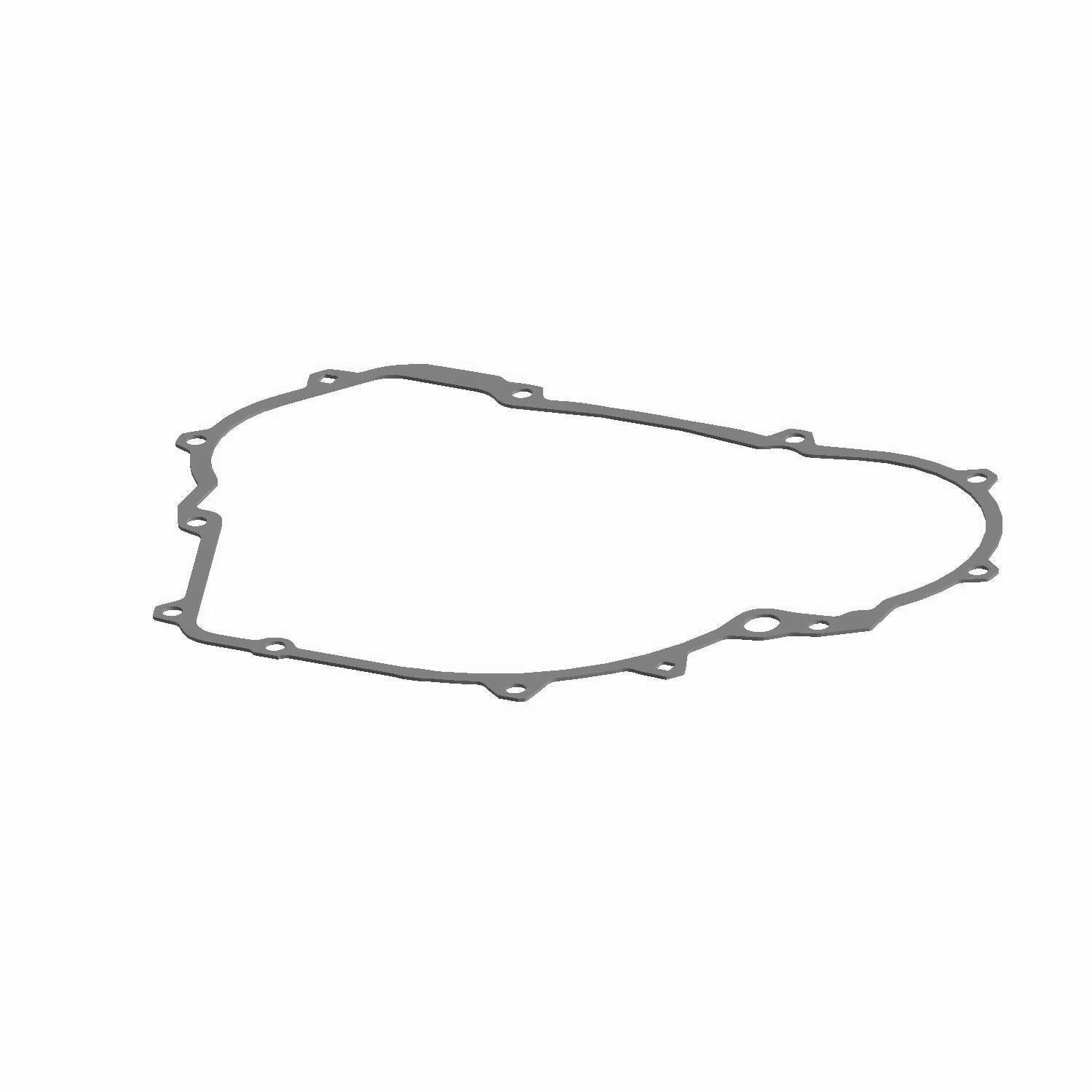 Stator Cover Gasket by Polaris