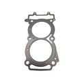 Metal cylinder head gasket with two large circular openings and multiple smaller holes for bolts and fluid passage.
