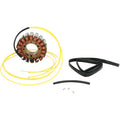 Can Am Stator by Rick's Motorsport Electric