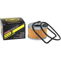 Replacement Oil Filter by Pro Filter
