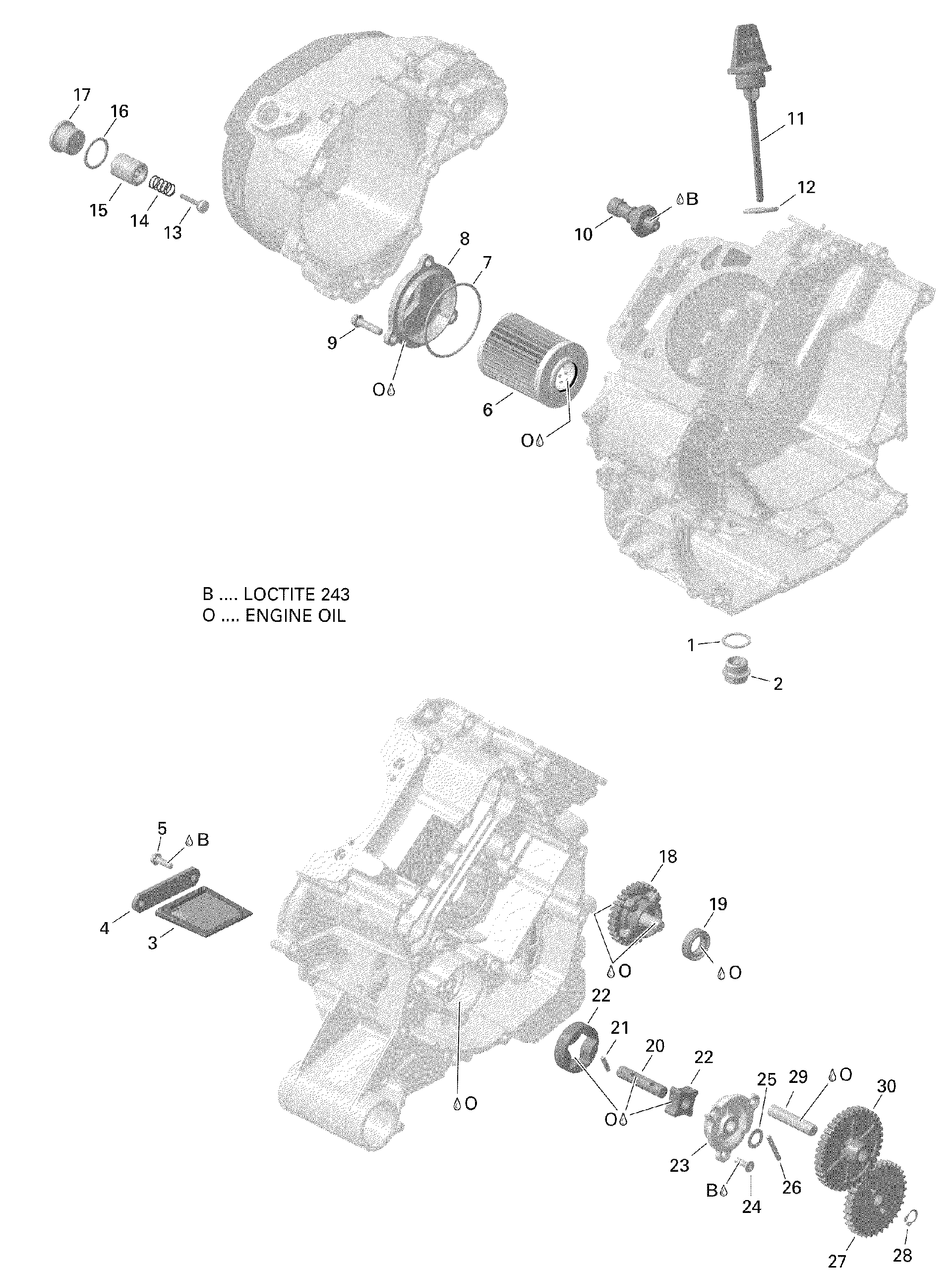 An Image of a Genuine Can-Am Parts Schematic Diagram showing the schematic - ENGINE LUBRICATION VERSION 1 EXCEPT NORTH EDITION