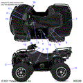 BODY: DECALS - 2022 POLARIS SPORTSMAN 570 TRAIL