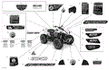 BODY - DECALS - 2021 CAN AM RENEGADE 570 EFI