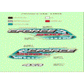 DECAL KITS FOR INJECTED BLACK MODEL?USA? - 2015 CFMOTO CFORCE 500 HO