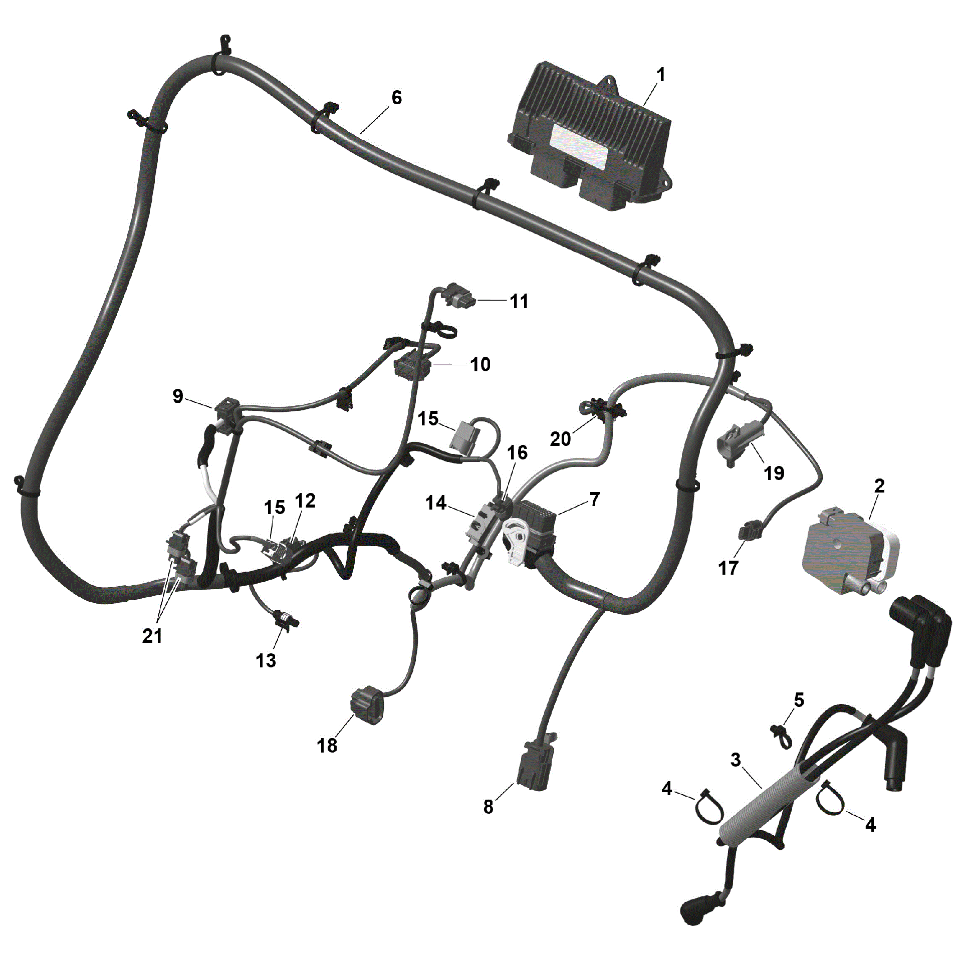 An Image of a Genuine Can-Am Parts Schematic Diagram showing the schematic - ROTAX - ENGINE HARNESS AND ELECTRONIC MODULE