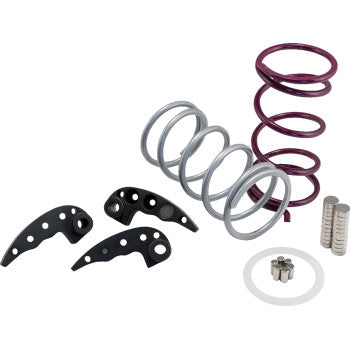 Assorted parts from the Polaris RZR XP Turbo Clutch Kit by Dynojet, including two coiled springs (purple and silver), three black metal plates with holes, three cylindrical metal pieces, a white ring, and several small round metal components.