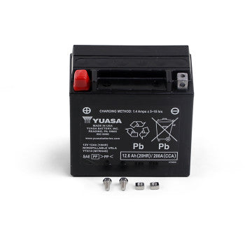 AGM Battery YTX14 by Yuasa