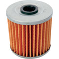 Kawasaki Oil Filter by Twin Air