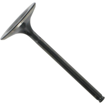 A single Honda Exhaust Valve 31.00 mm Oversize by Kibblewhite, featuring a stainless steel flat round head and long thin stem, is displayed on a white background.