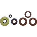 Polaris Oil Seal Set by Moose Offroad