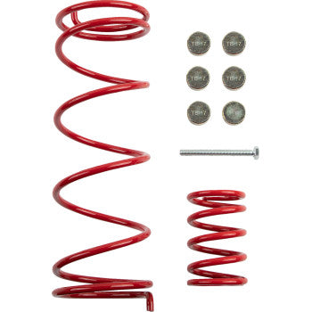 Red steel coil springs of two sizes with six silver metal clutch weights and one silver bolt.
