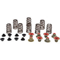 Polaris Beehive Spring Kit 0.435" Lift by Kibblewhite
