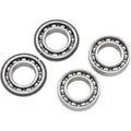 Polaris Counter Balancer Bearing Kit by Hot Rods