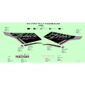 DECAL - 2024 CFMOTO ZFORCE 950 HO EX