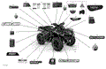 BODY - DECALS - STD - 2021 CAN AM OUTLANDER 650 EFI / DPS / XT / MOSSY OAK EDITION
