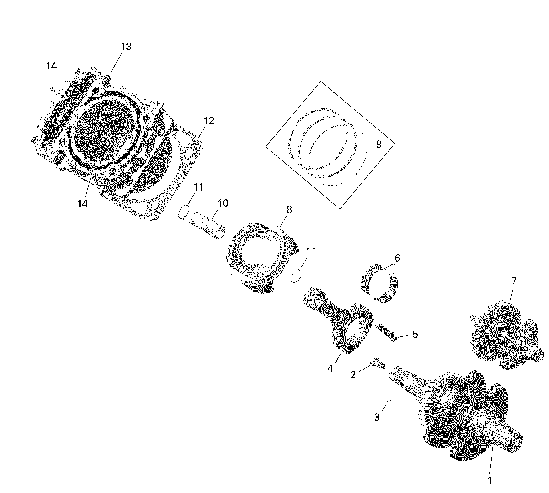 An Image of a Genuine Can-Am Parts Schematic Diagram showing the schematic - ROTAX - CYLINDER