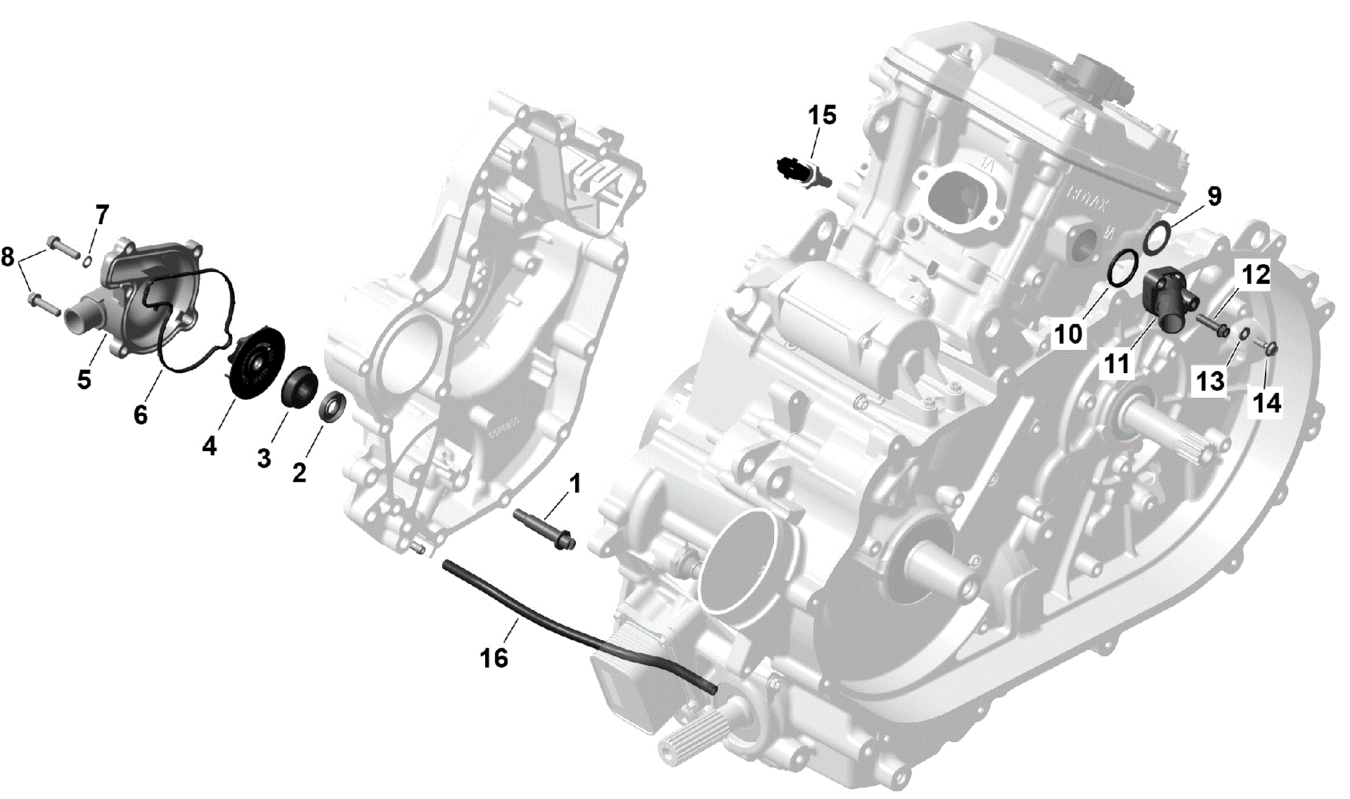 An Image of a Genuine Can-Am Parts Schematic Diagram showing the schematic - ROTAX - ENGINE COOLING