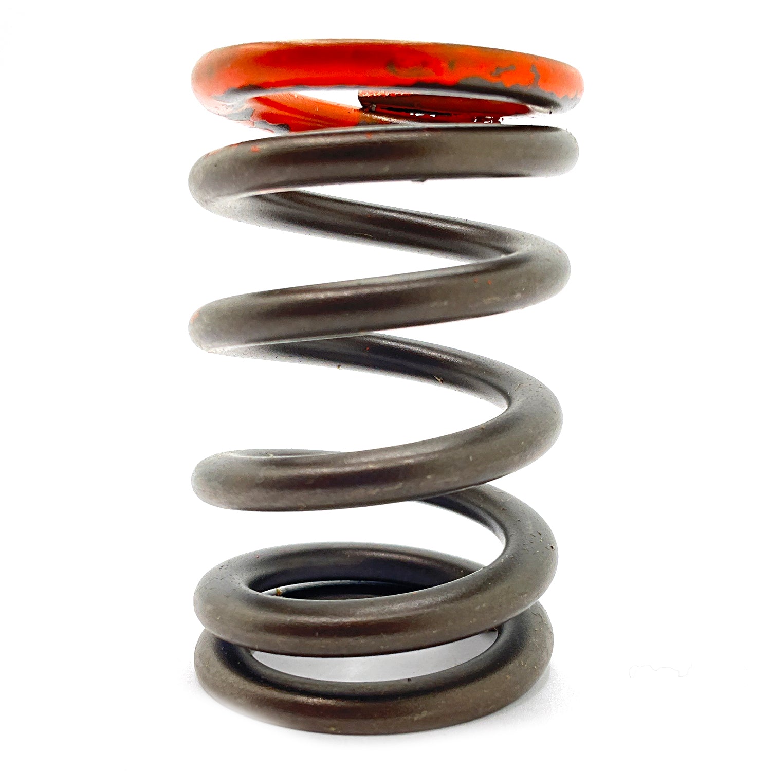Valve Spring by Polaris