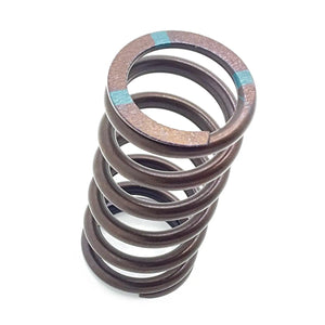 Dark metal coil valve spring with blue painted marks on flat ends, tightly wound cylindrical shape.