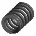 Valve Spring by Indian