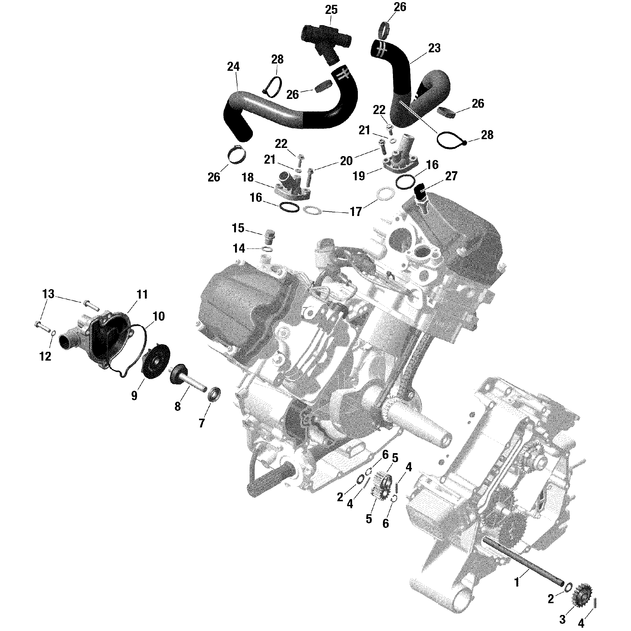 An Image of a Genuine Can-Am Parts Schematic Diagram showing the schematic - ROTAX - ENGINE COOLING