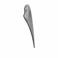 Black elongated headdress badge with detailed feather-like ridges and smooth curved outline.