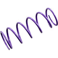 Polaris Primary Spring Purple by Epi