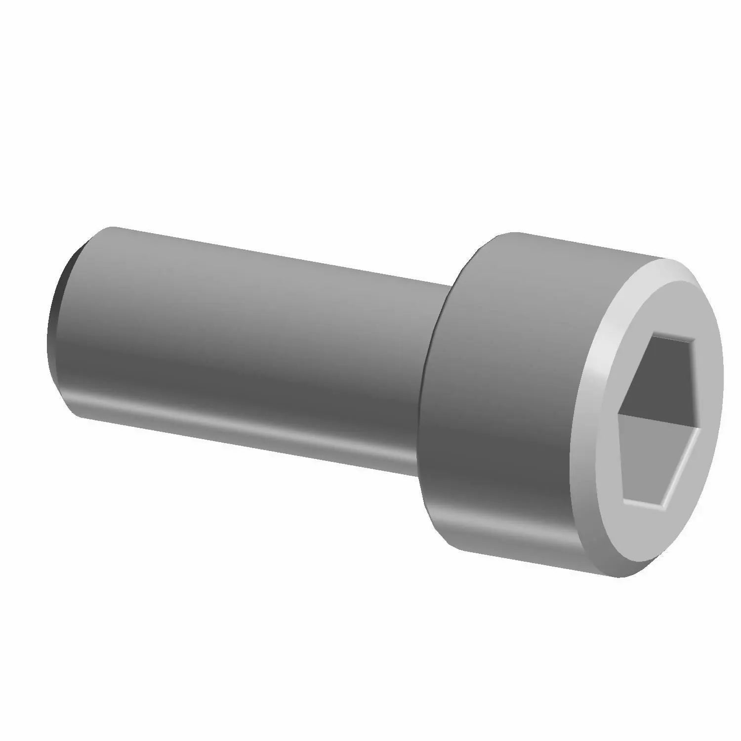 Gray hex socket head battery screw with cylindrical shank and flat top.