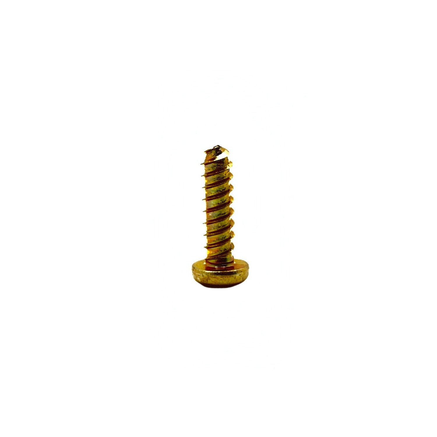 Small gold-toned metal screw with coarse threading and flat head.