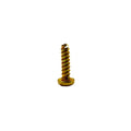 Small gold-toned metal screw with coarse threading and flat head.