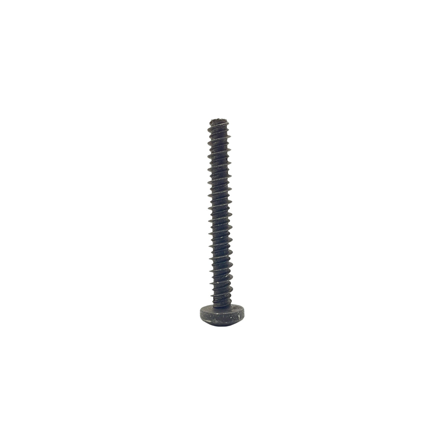Screw, 1/4X2 by Polaris