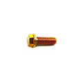 Hex Flanged Screw, M6X1.0X16 by Polaris