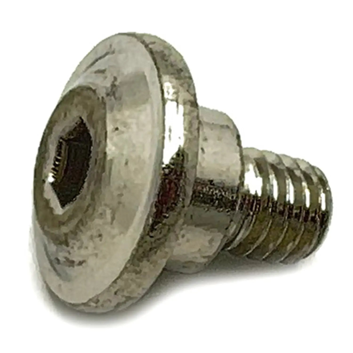 Windshield Screw for Victory - Witchdoctors Witchdoctors