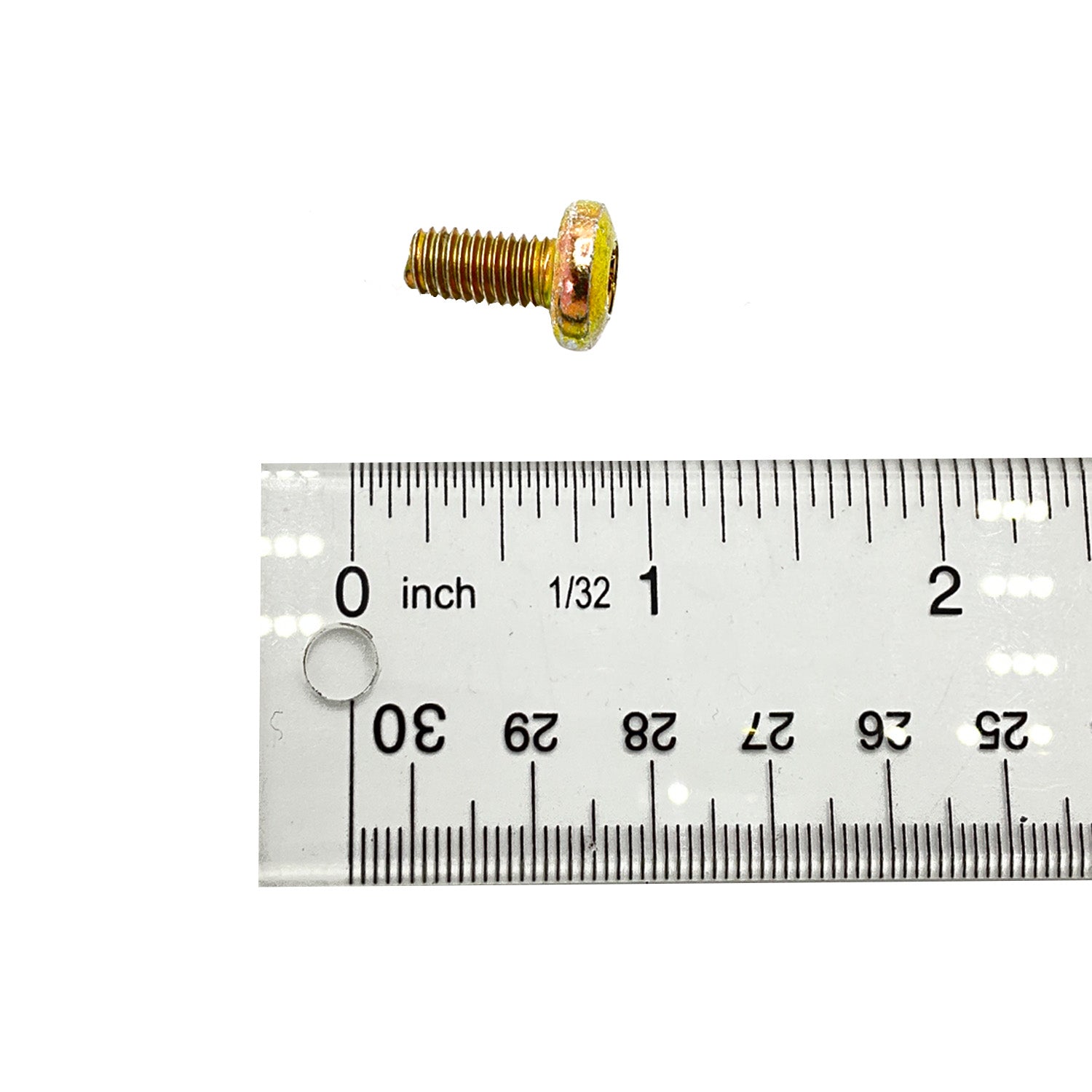 Small gold-colored metal screw with a rounded head next to a ruler showing just under 3/4 inch length.
