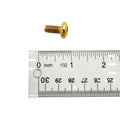 Small gold-colored metal screw with a rounded head next to a ruler showing just under 3/4 inch length.
