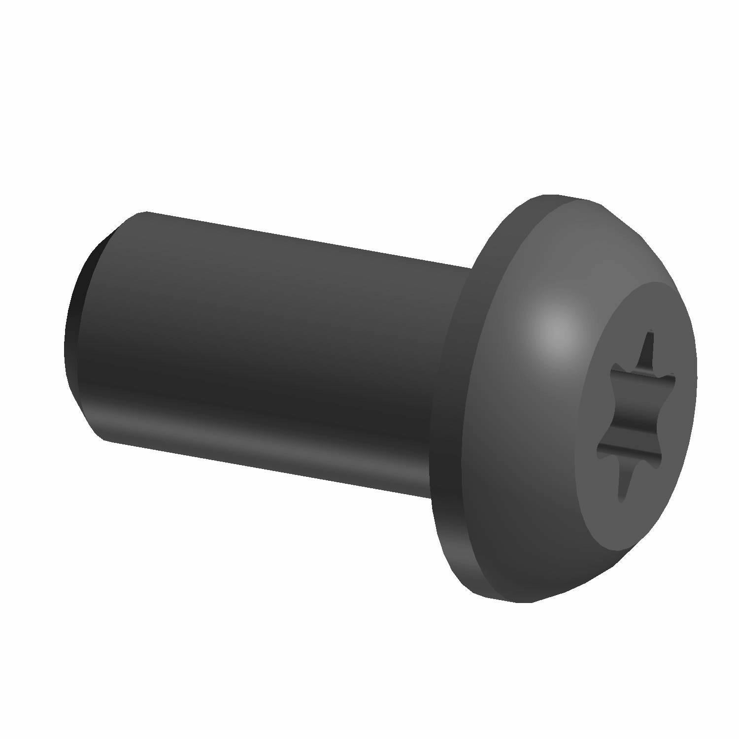 Black Torx screw with flat round head and cylindrical threaded body.