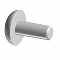 Silver metal screw with flat round head and short threaded shaft.