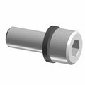 Silver hex socket head bolt with black washer, cylindrical metal shaft, M8x1.25x20 size.