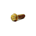 Hex Flange Screw 6mmx1.0mm by Polaris