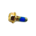 Hex Flange Screw M6x1.0x16 8.8 by Polaris