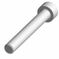 Silver metal socket head screw with cylindrical threaded shaft and flat head.