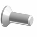 Silver metal screw with flat, wide head and smooth cylindrical shaft.