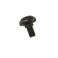 Black hex button head screw with threaded shaft, M6x1.0x10 size, metal finish.