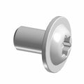 Silver metal Torx screw with flat round head and short threaded shaft, M6X1.0X10 size.