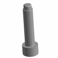 Gray metal socket head screw with cylindrical threaded shaft and flat top head.